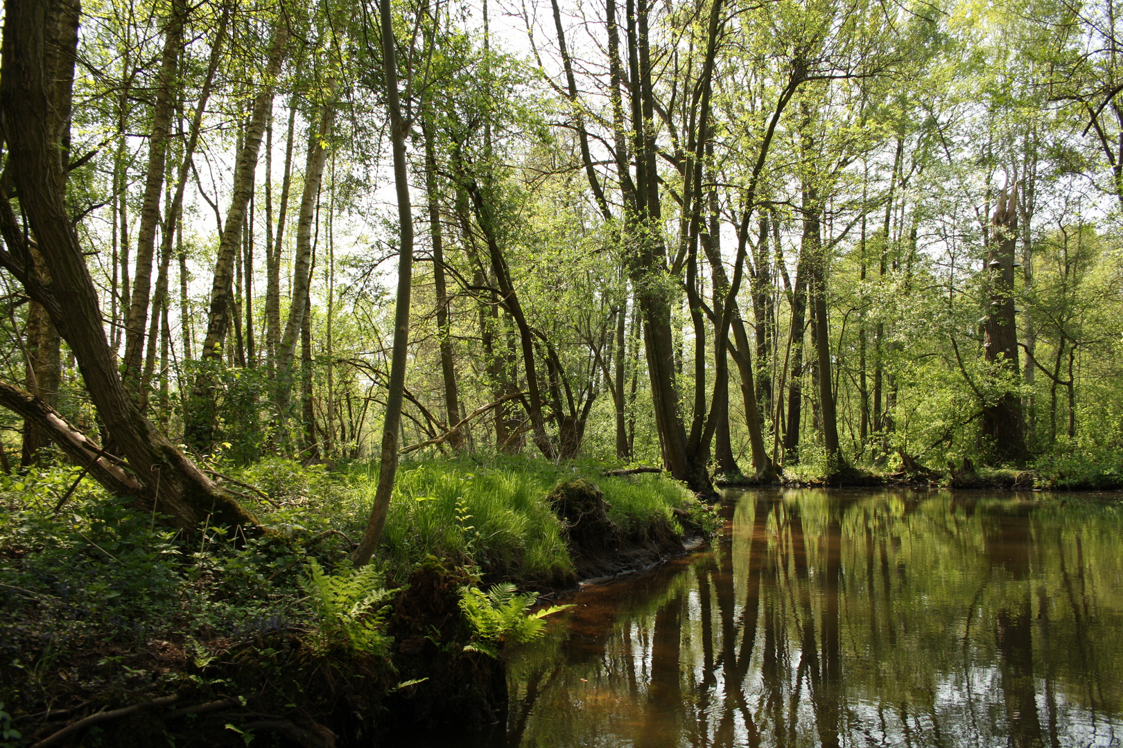 Spreewald