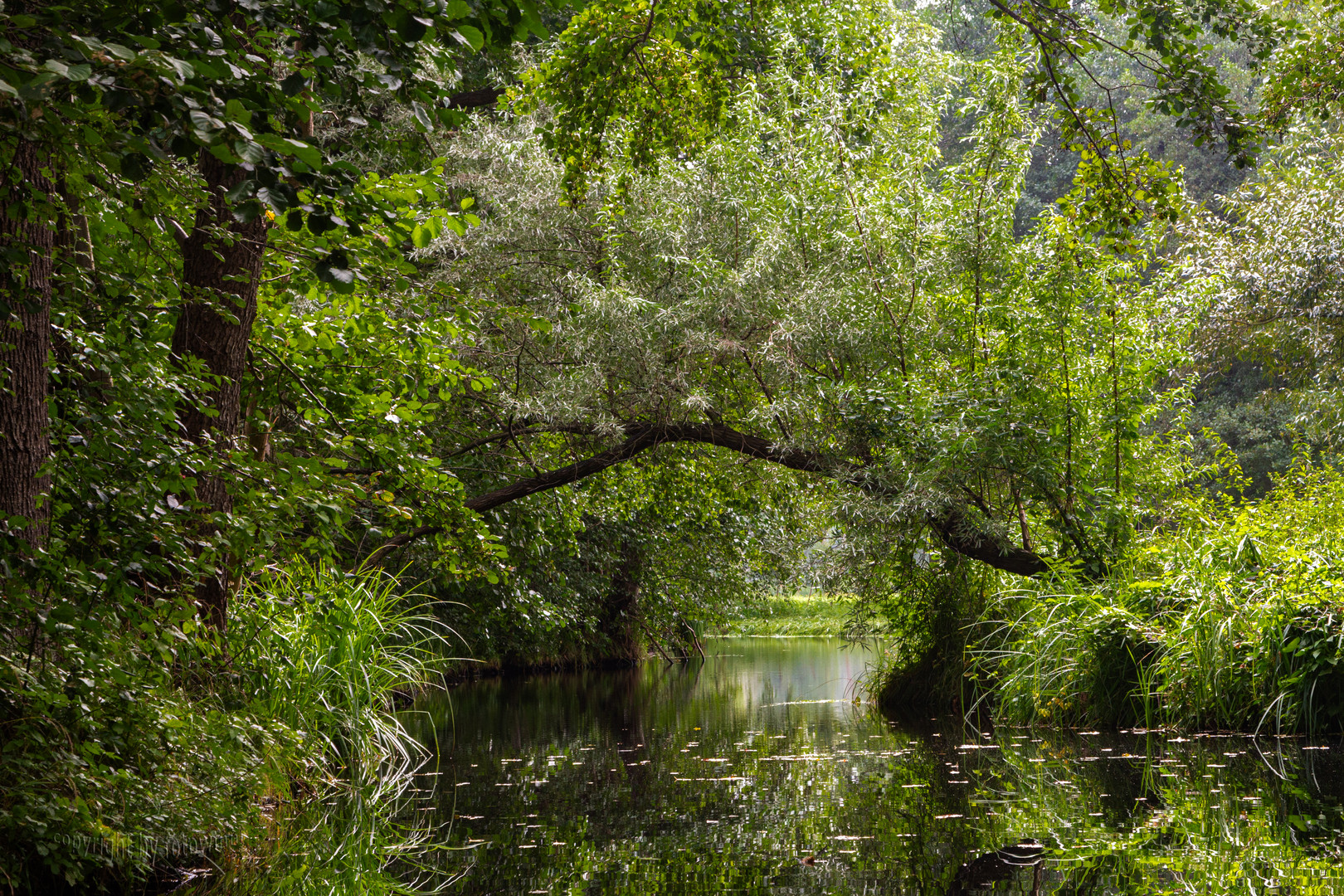 Spreewald