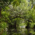 Spreewald