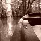 Spreewald