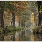 Spreewald