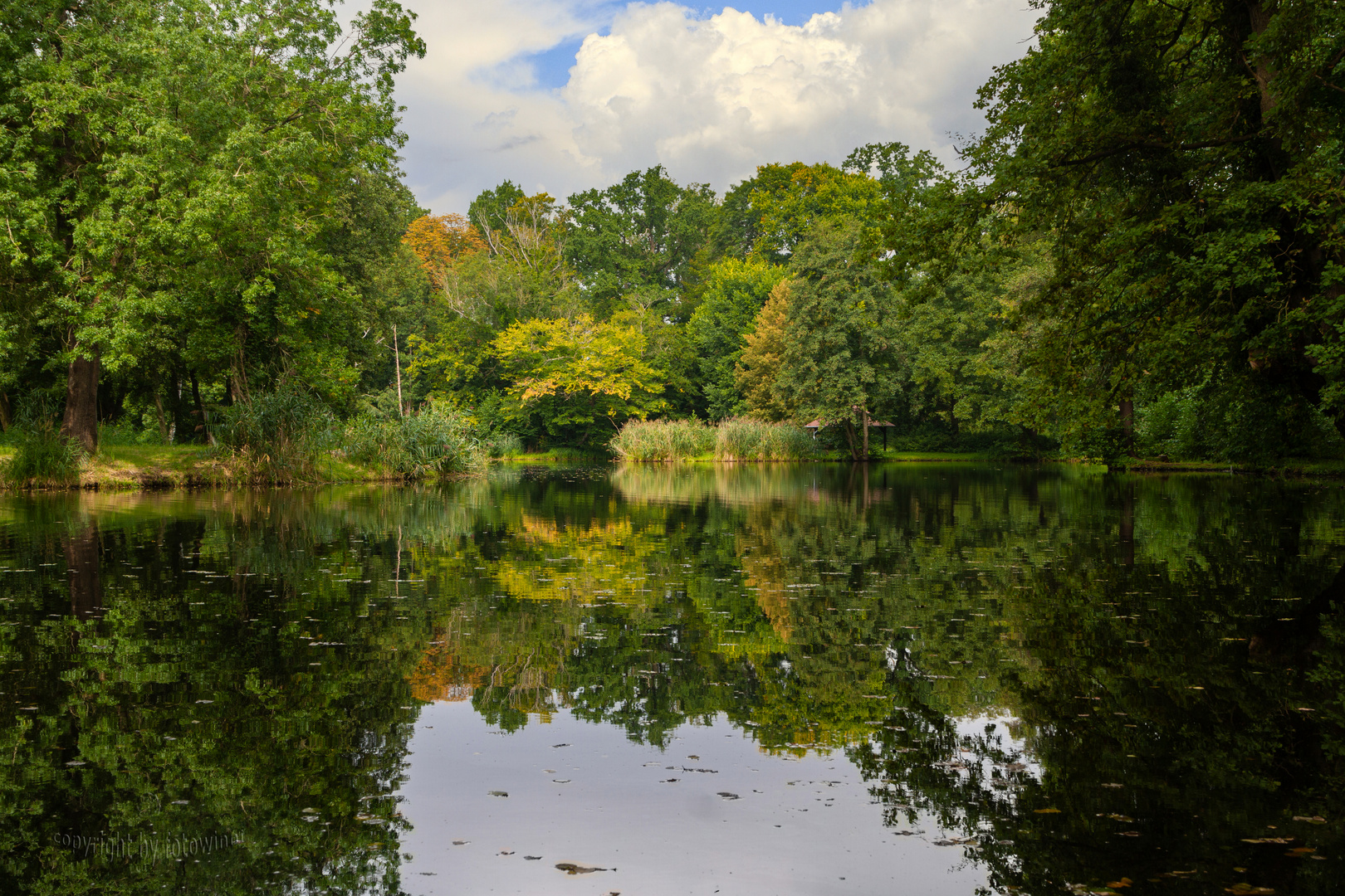 Spreewald