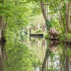 Spreewald