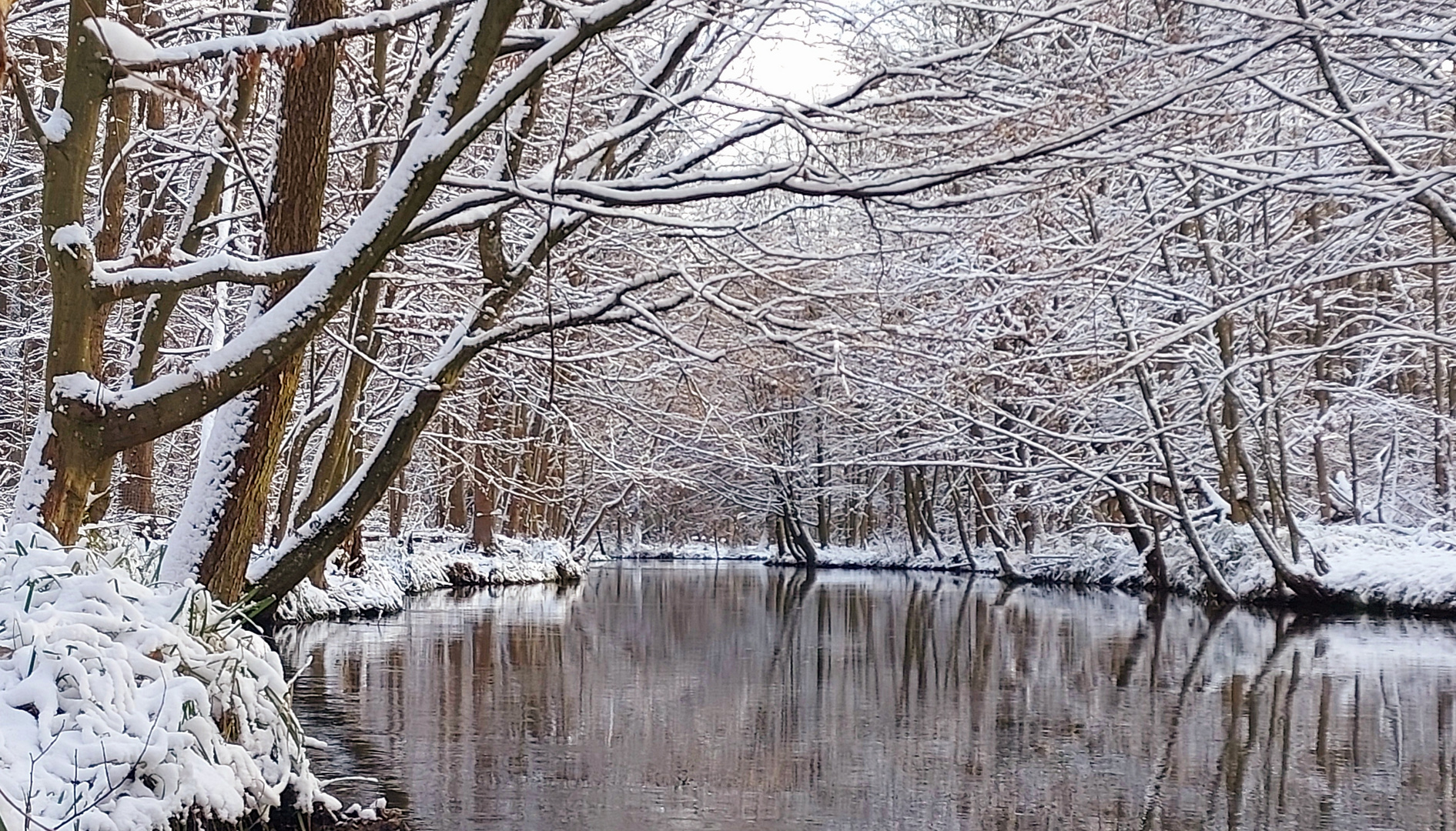 Spreewald 