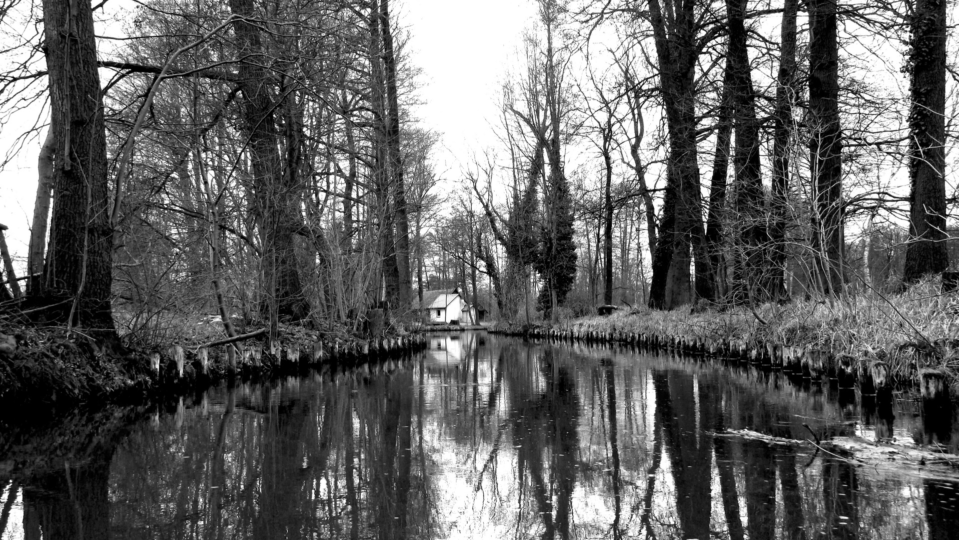 Spreewald