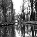 Spreewald