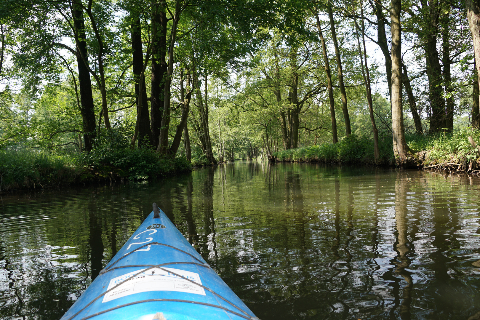 Spreewald 