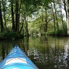 Spreewald 