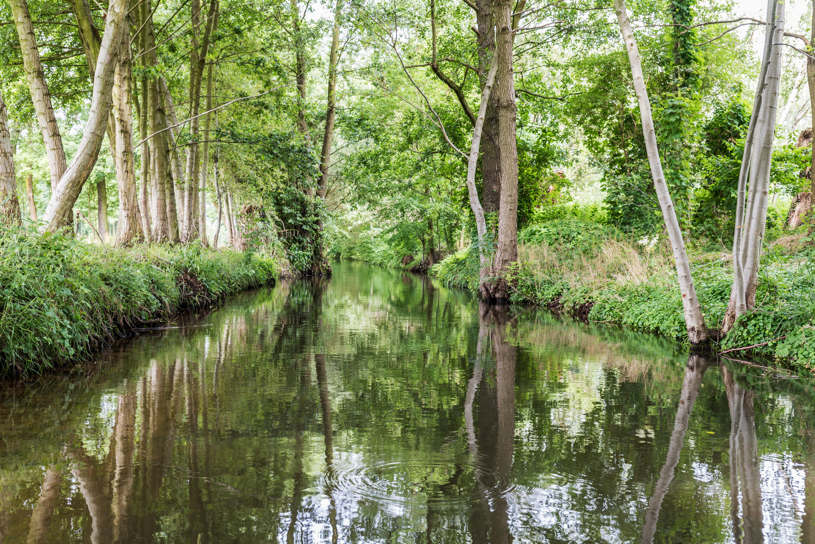 Spreewald