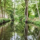 Spreewald