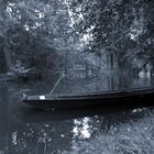 Spreewald 