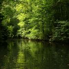 Spreewald