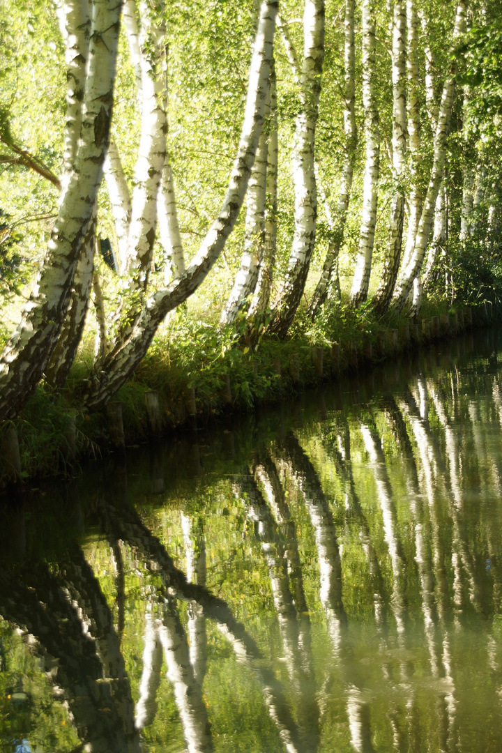 Spreewald