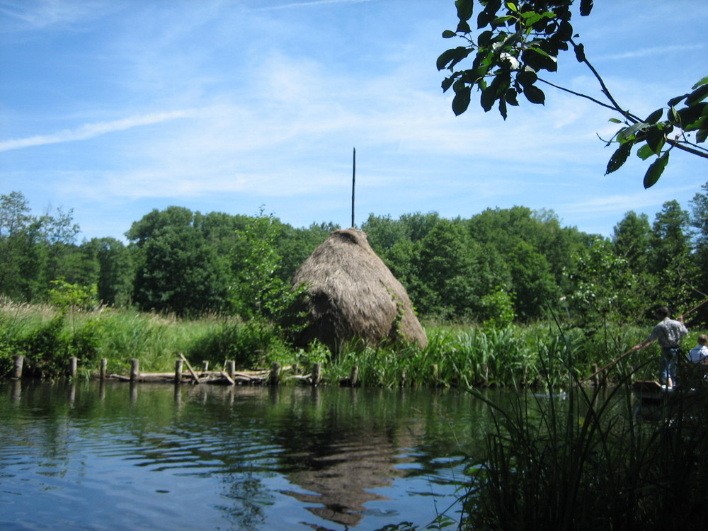 Spreewald