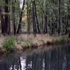 Spreewald