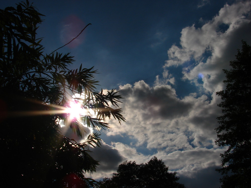 Spreewald