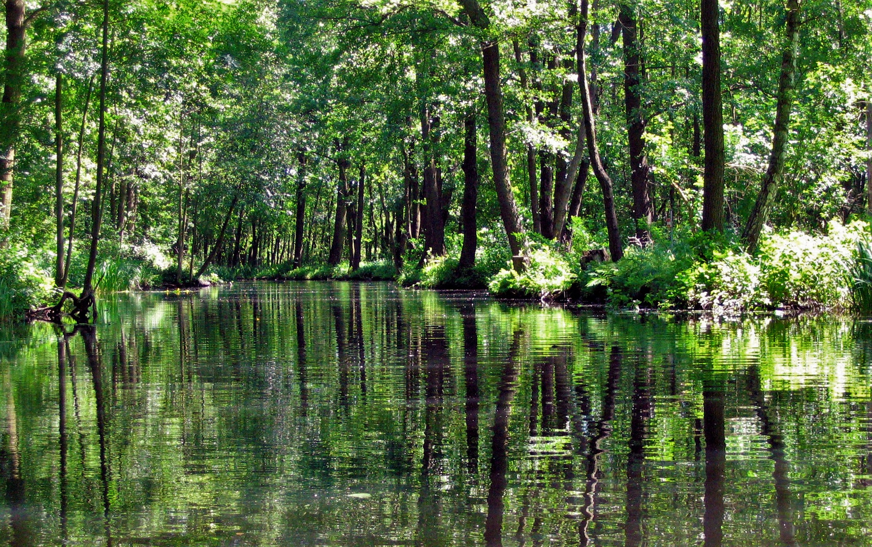 Spreewald