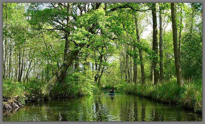 Spreewald