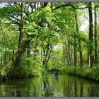 Spreewald