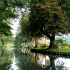 Spreewald