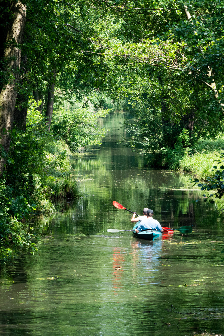 Spreewald