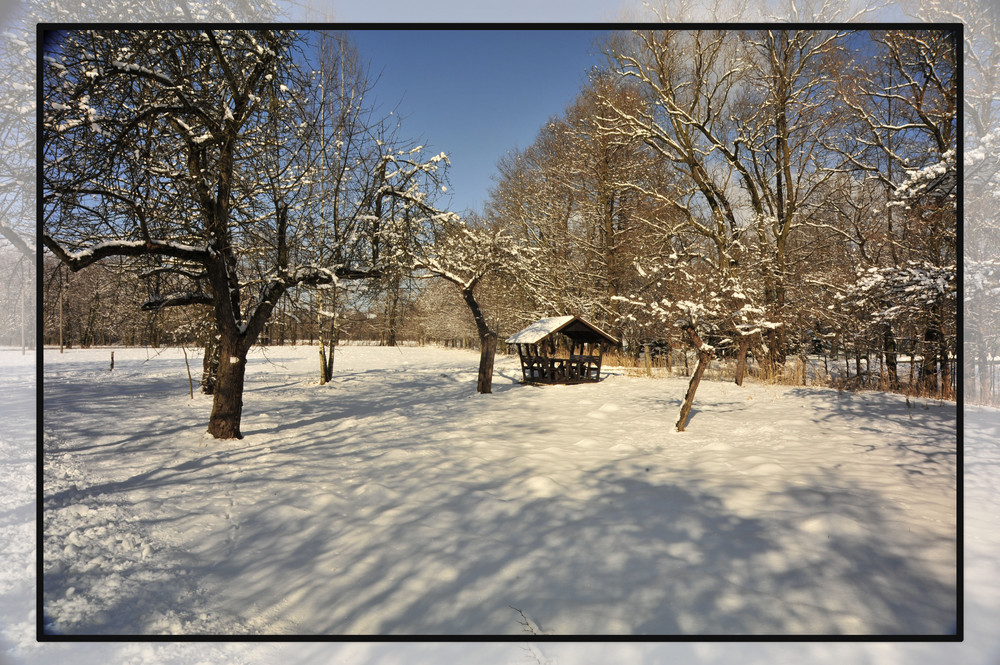 Spreewald