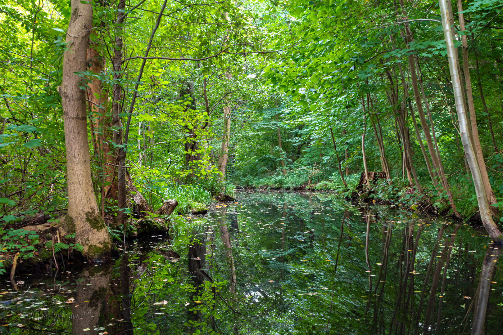 Spreewald