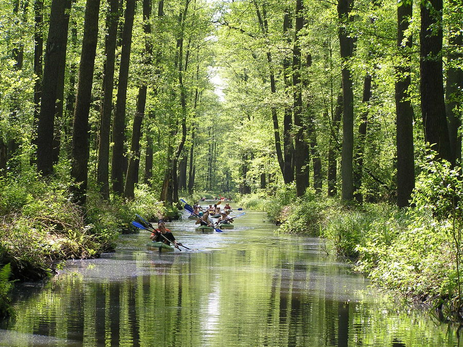 Spreewald