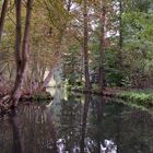 Spreewald