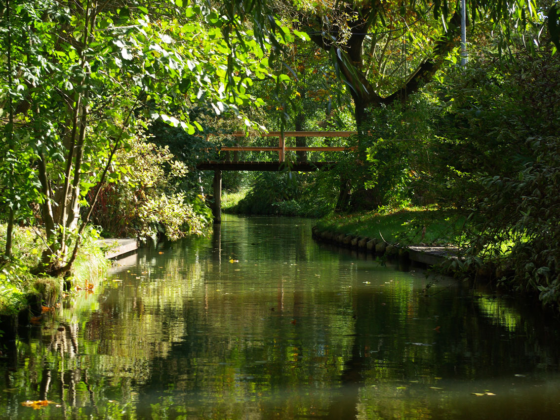 Spreewald