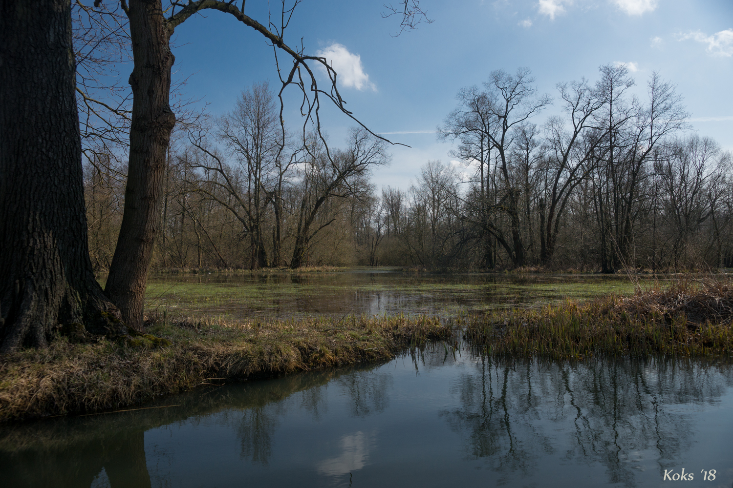 Spreewald