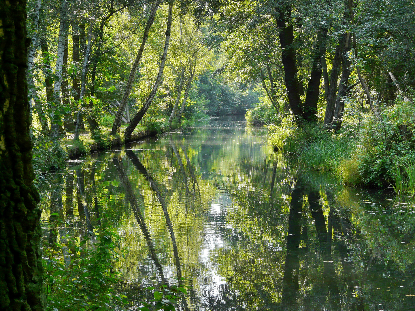 Spreewald