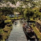 Spreewald -Bild Nr. 2