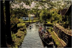 Spreewald -Bild Nr. 2