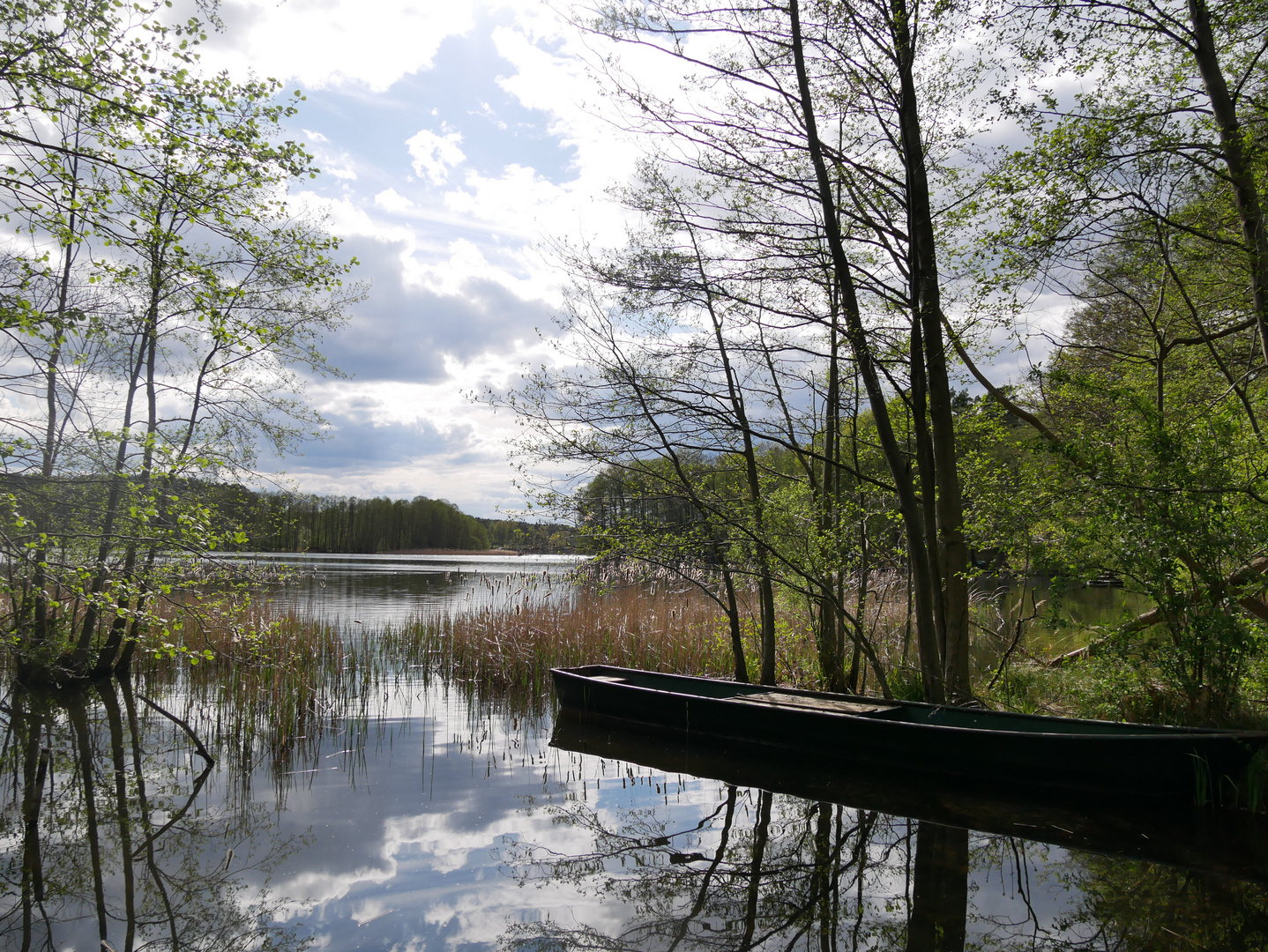 Spreewald Blick