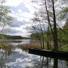 Spreewald Blick