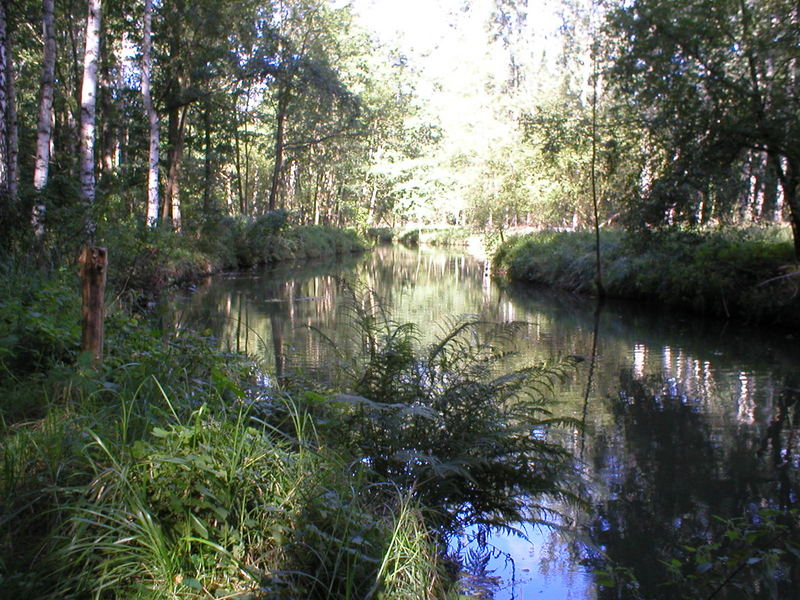 Spreewald