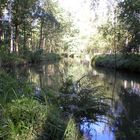 Spreewald