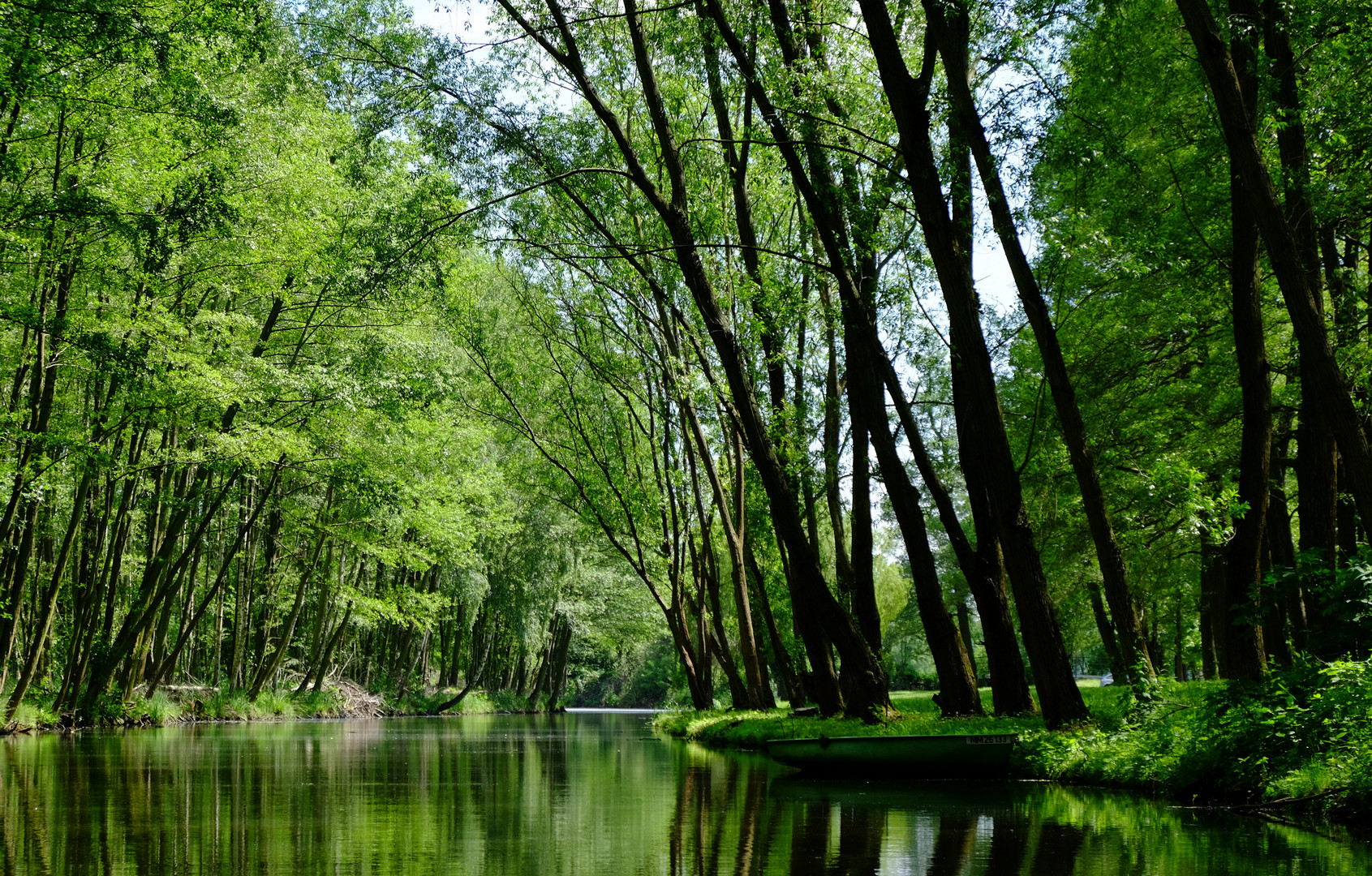 Spreewald