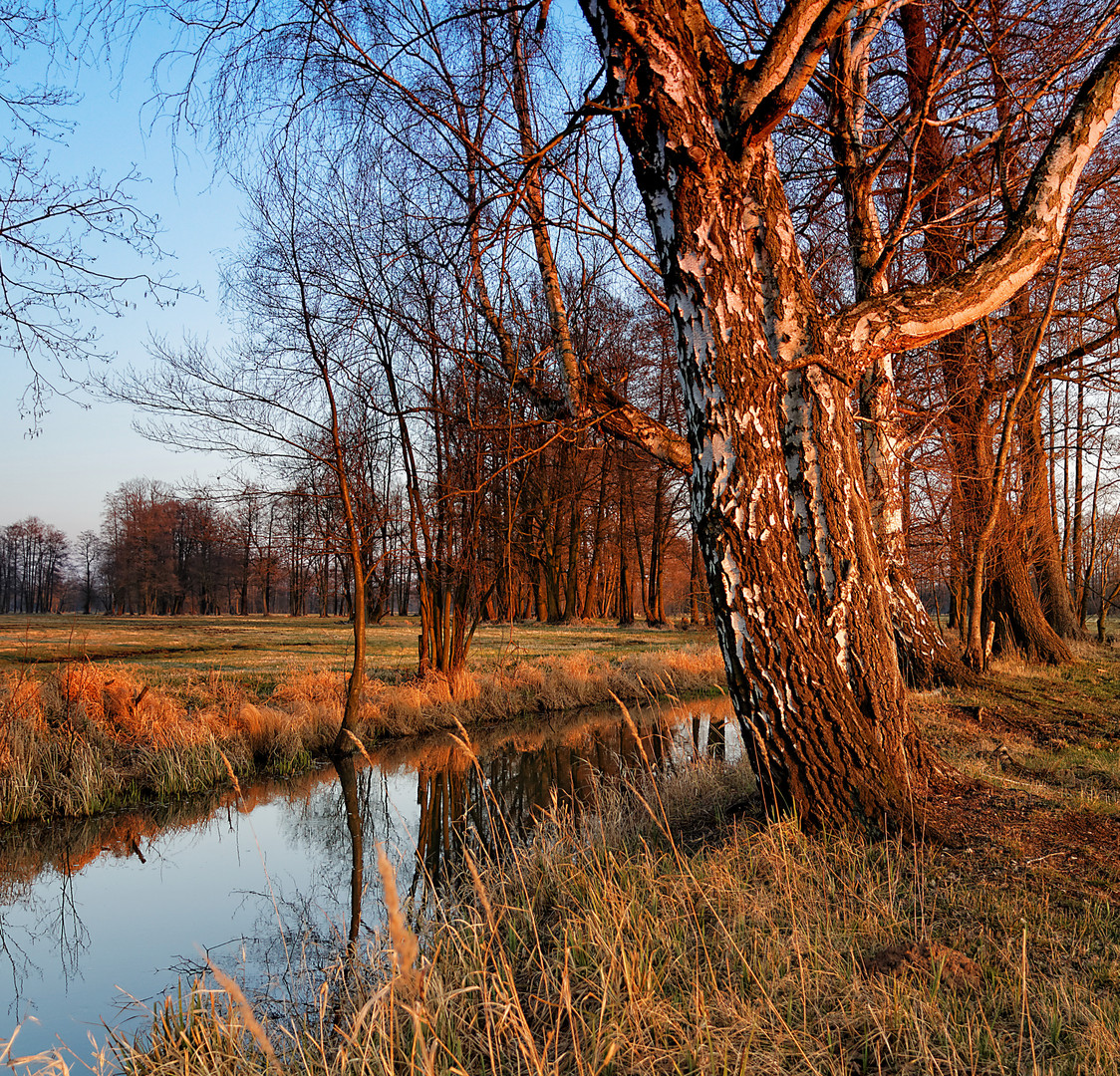 Spreewald - die Frühlingssonne geht unter