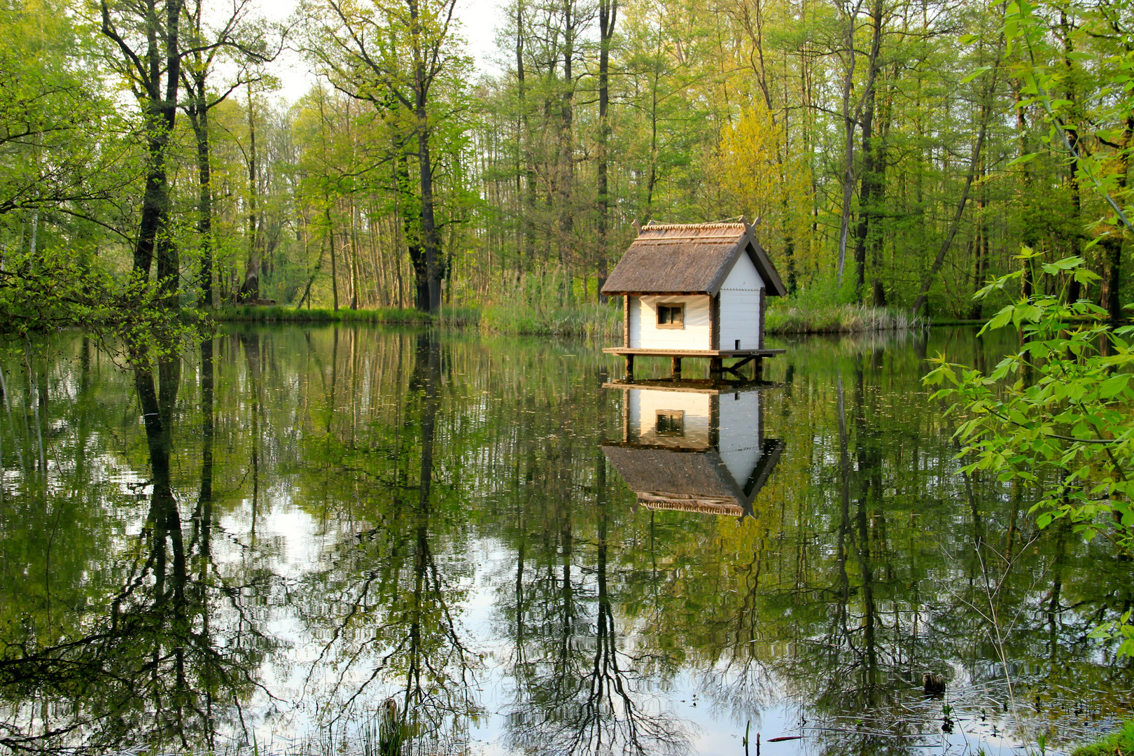 Spreewald - Entenhaus