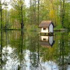 Spreewald - Entenhaus