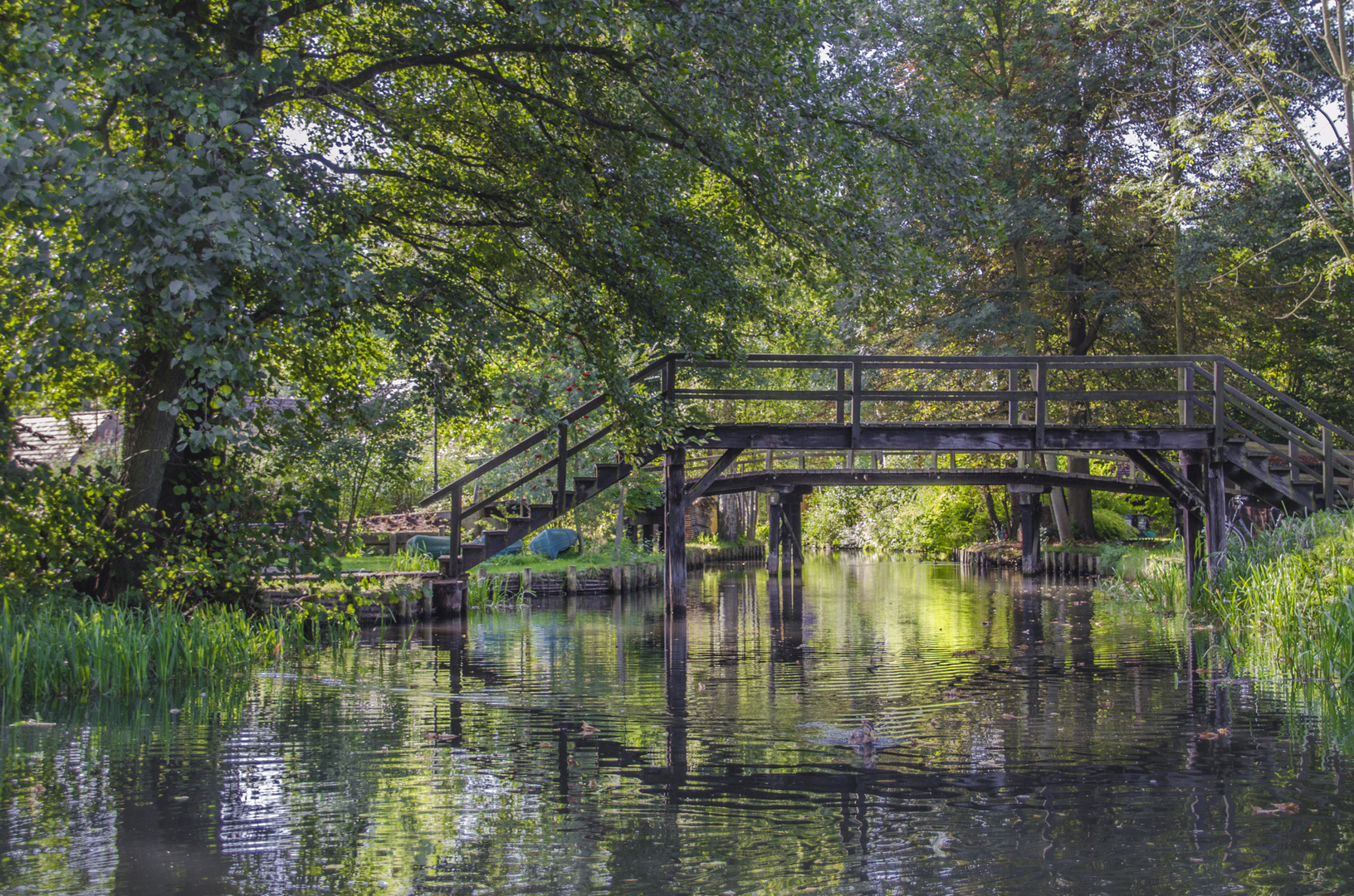 Spreewald