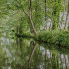 Spreewald