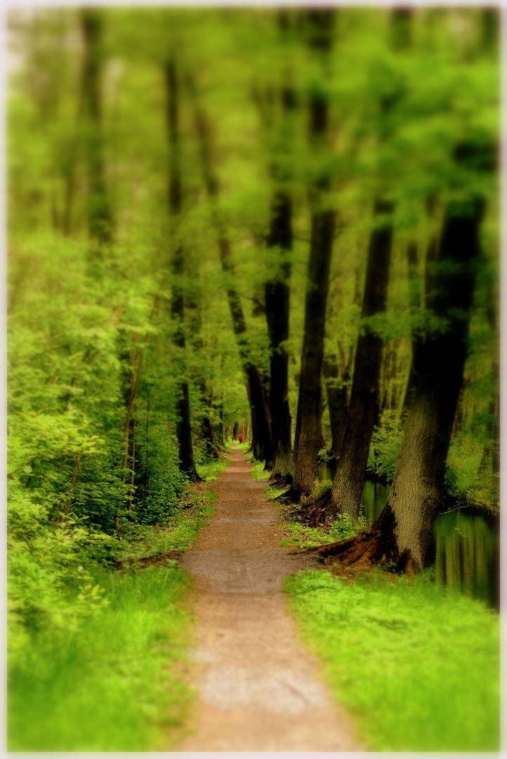 Spreewald