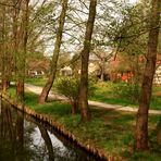 Spreewald Frühling