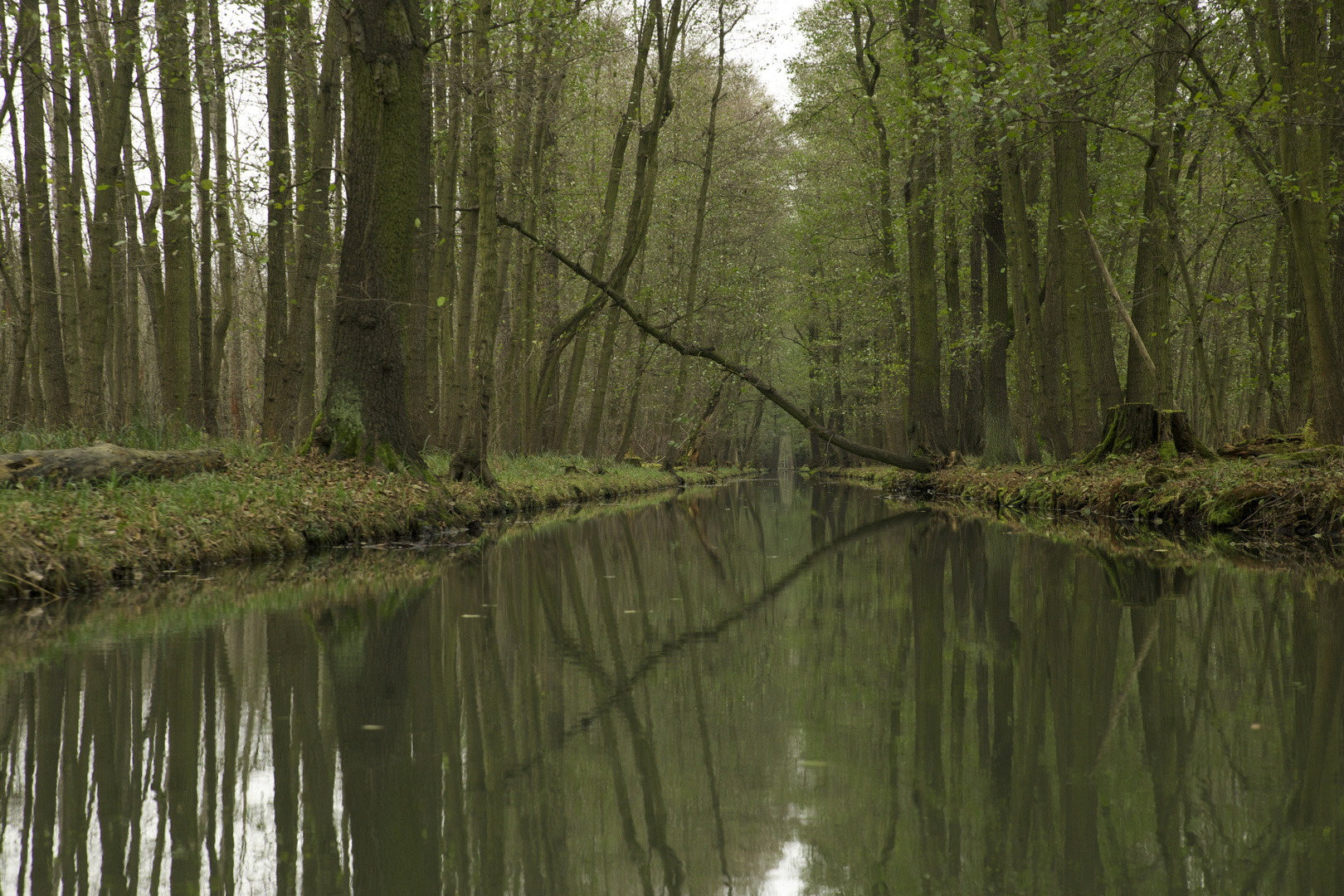 Spreewald für uns allein