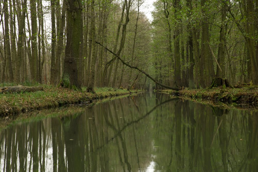 Spreewald für uns allein