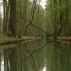 Spreewald für uns allein