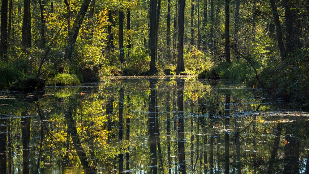 Spreewald-Herbst